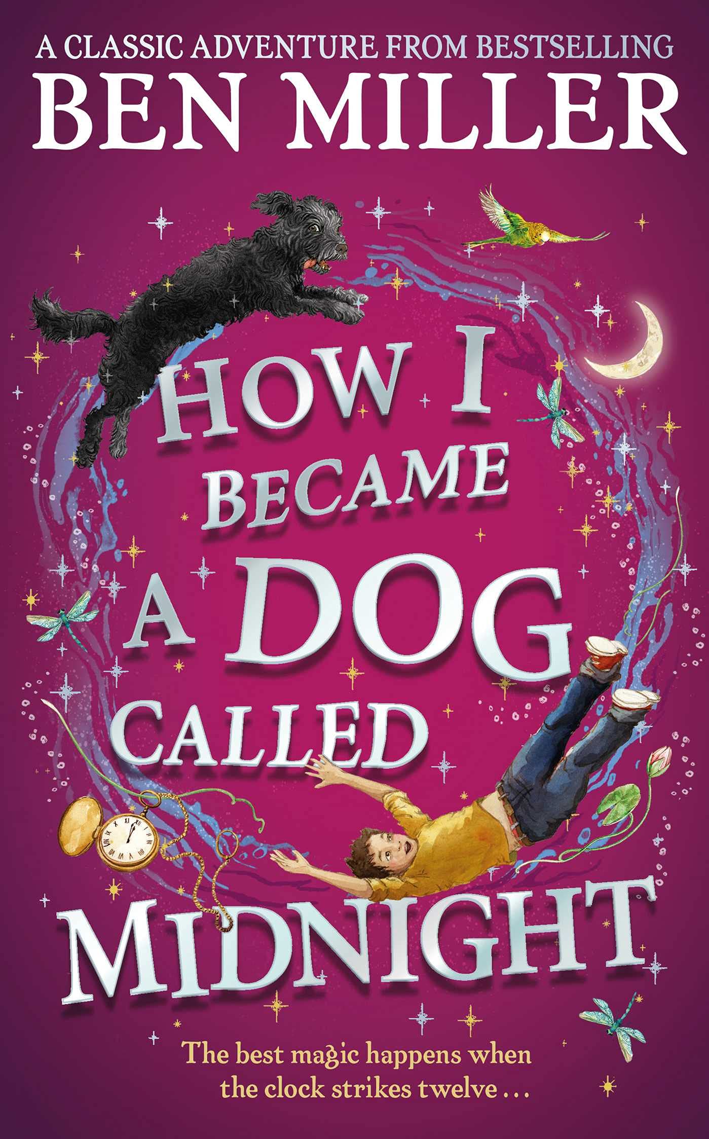 How I Became A Dog Called Midnight by Ben Miller
