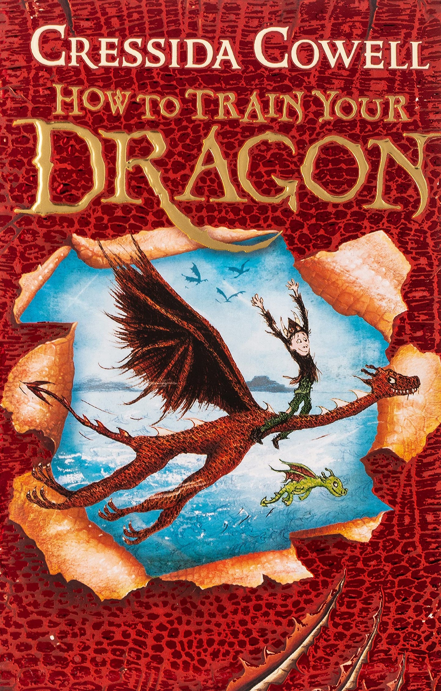 How to Train your Dragon